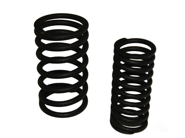 Valve internal spring Z12VB.03.17A+valve external spring Z12VB.03.18A
